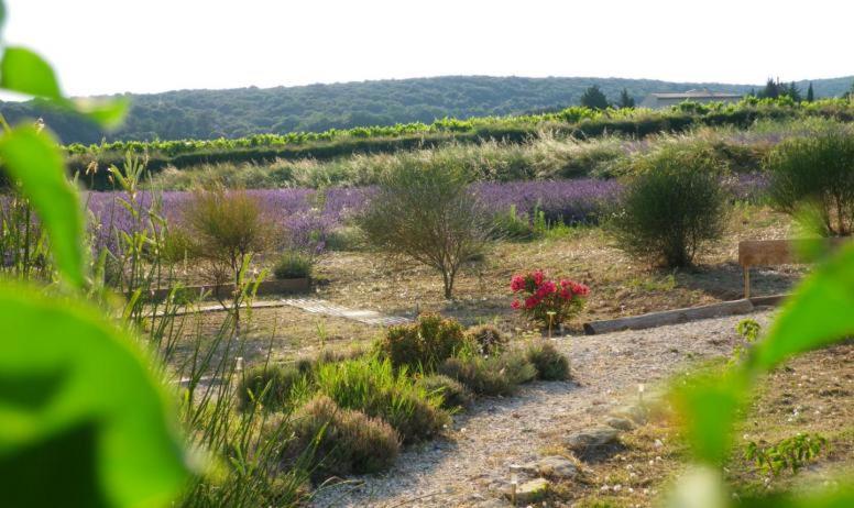 Villa Au Mas D'Emma Bourg-Saint-Andéol Esterno foto